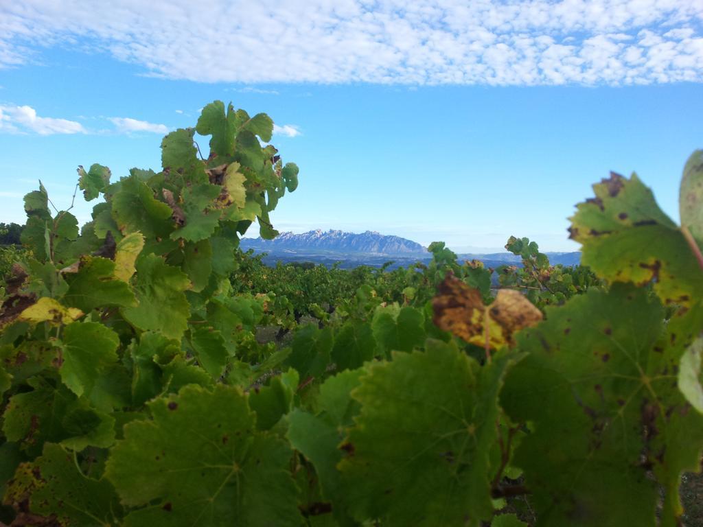 Agroturisme Cal Jeroni Avinyonet del Penedes Buitenkant foto