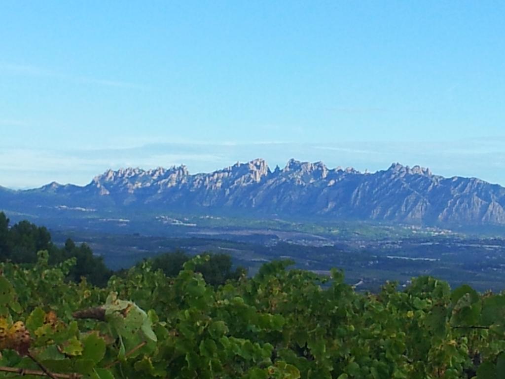 Agroturisme Cal Jeroni Avinyonet del Penedes Buitenkant foto
