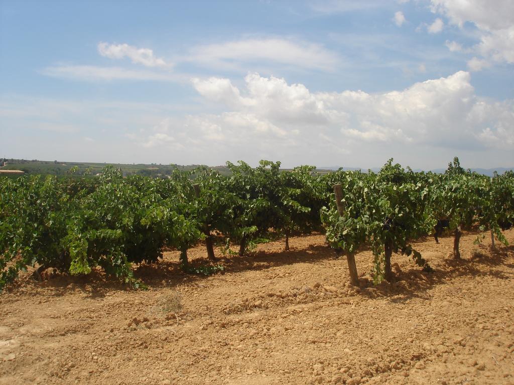Agroturisme Cal Jeroni Avinyonet del Penedes Buitenkant foto
